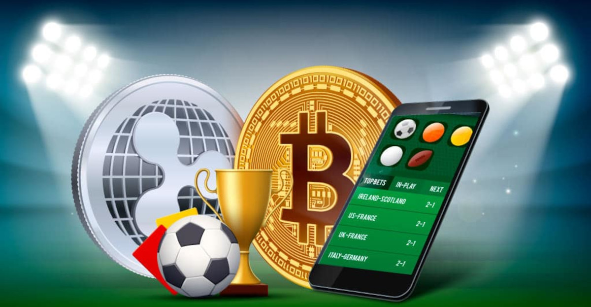 Discover the Best Sites for Live Betting Discover the Best Sites for Live Betting